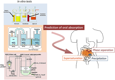 graphical abstract